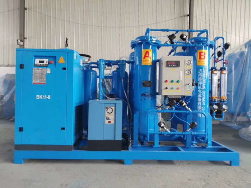 水產(chǎn)養(yǎng)殖制氧機(jī)增氧設(shè)備 大型工業(yè)制氧設(shè)備 psa分子篩制氧機(jī)